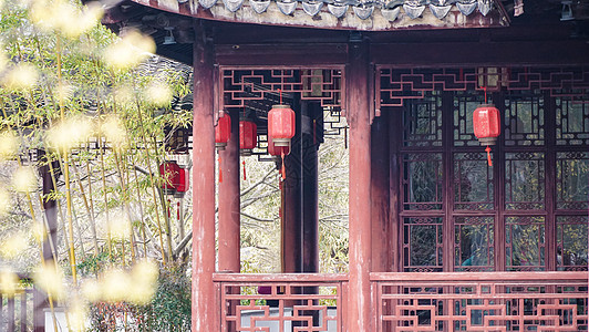 梅花与灯笼新年腊梅花映衬下的古建筑和灯笼背景