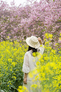 春天踏青赏花高清图片