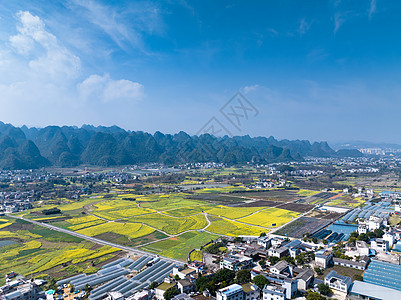 景观农业航拍贵州万峰林油菜花风光背景