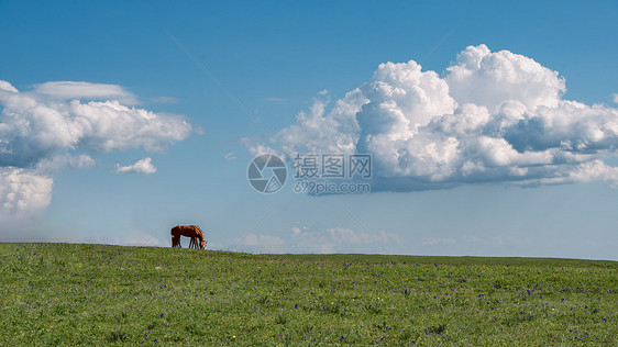 内蒙古红石崖4A旅游景区夏季风光图片