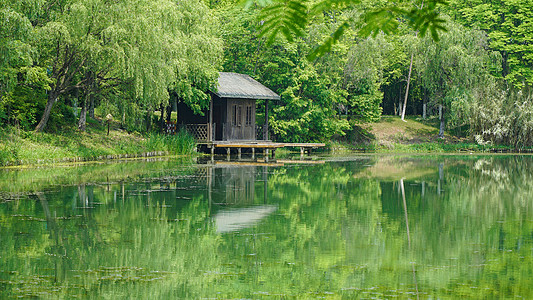 草地河流湖边树林与小屋绿色风景背景