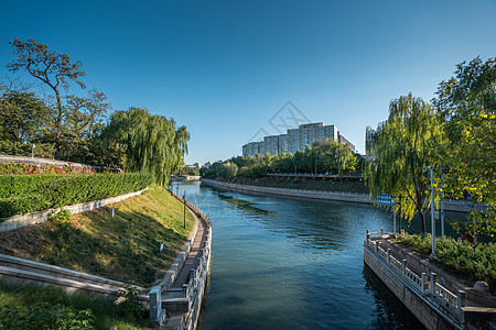 北京美景春天的北京玉渊潭美景背景