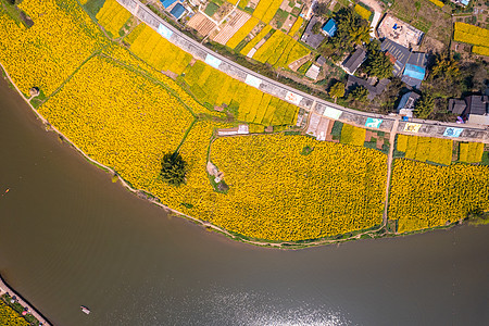 重庆潼南崇龛油菜花高清图片