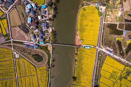 重庆潼南崇龛油菜花图片