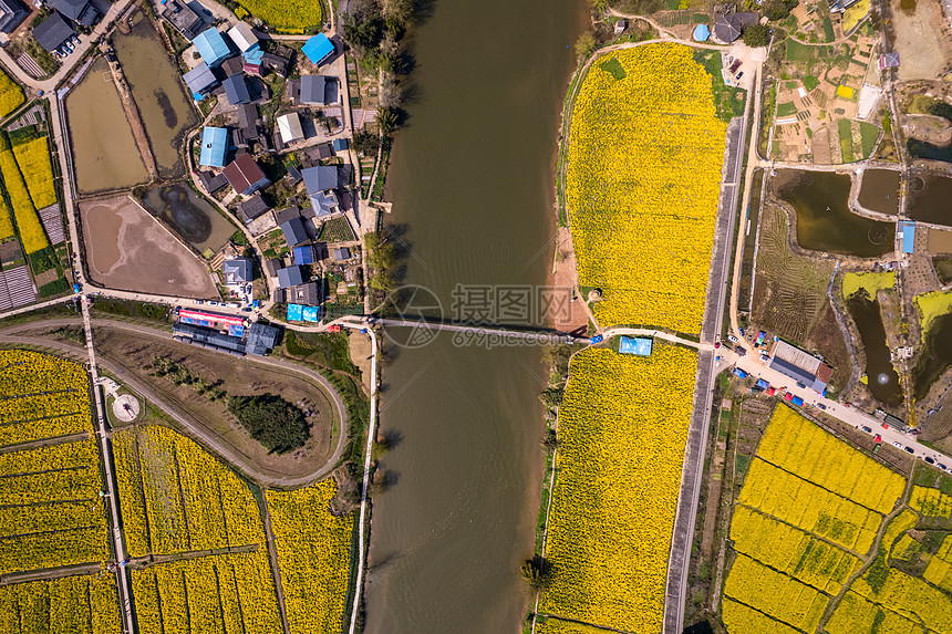 重庆潼南崇龛油菜花图片