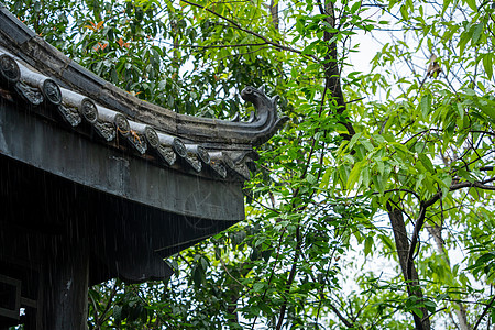 清明雨上春天雨水背景