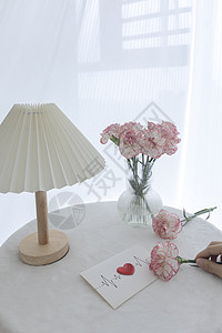 桌子上的康乃馨图片