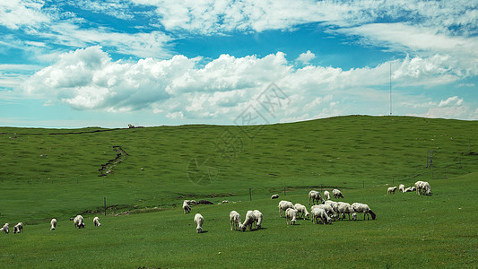 蓝天绿草内蒙古希拉穆仁草原夏季风光背景