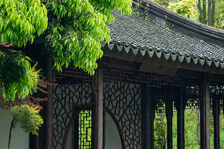 雨季清明春天雨水背景