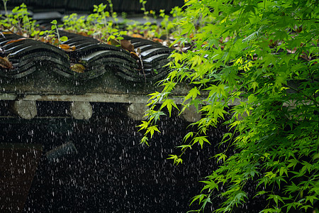 春天首页春天雨水背景