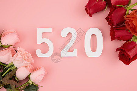 520红粉玫瑰对放粉色系壁纸高清图片