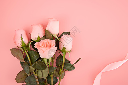 粉色系玫瑰横版壁纸图片