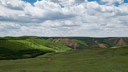 高山绿色内蒙古高山草原 绿色植被背景