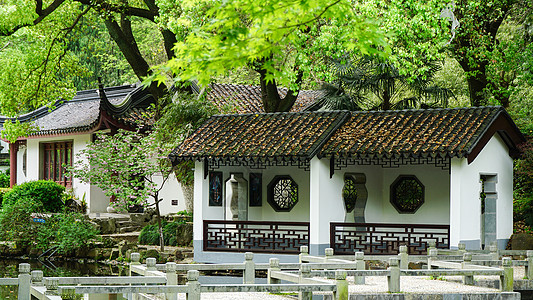 烟雨长廊江南园林亭林园春日风光背景