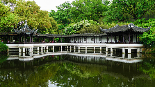 园林植物江南园林亭林园春日风光背景