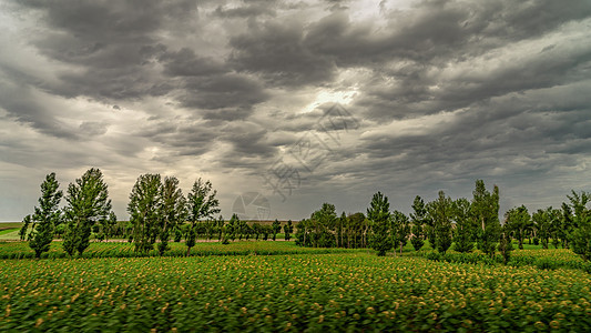 内蒙古农田植被多云图片