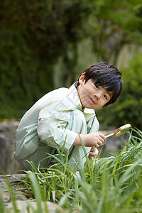 小男孩在植物园拿着放大镜观察植物图片