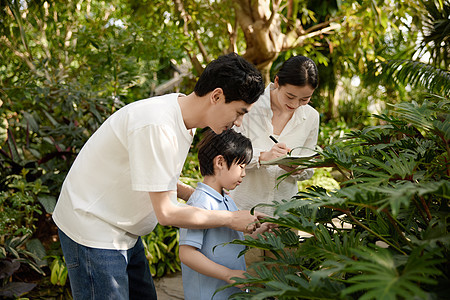 一家人在植物园参观记录图片