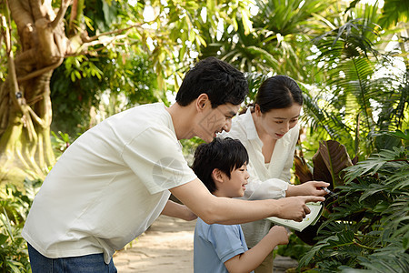 一家人在植物园参观记录图片