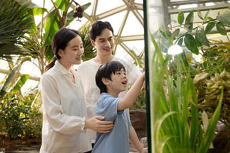 欧美女性一家人在植物园观察植物背景