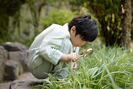 在窗边植物小男孩拿着放大镜蹲在地上观察植物背景