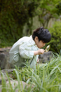 小男孩拿着放大镜蹲在地上观察植物图片