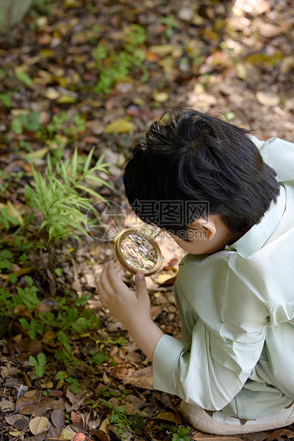 小男孩拿着放大镜蹲在地上观察植物图片