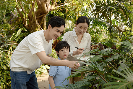 一家人在植物园观察记录图片