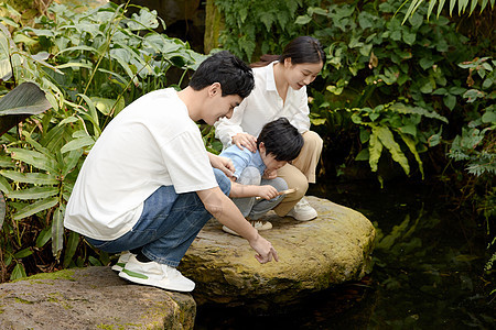 蹲在石头上观察池塘的一家人图片