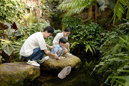 年轻父母陪着小男孩蹲在石头上抓鱼图片