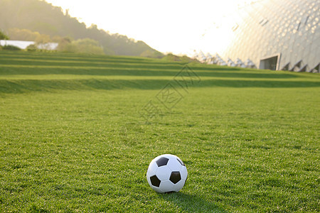 放在草坪上的一颗足球图片
