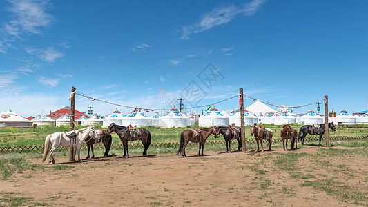 内蒙古夏季草原蒙元建筑旅游图片