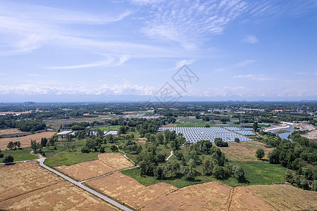 夏收收割油菜花的农田图片