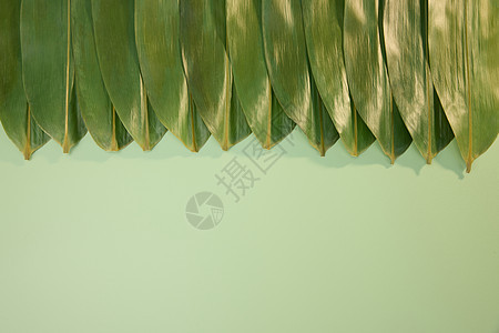 绿色背景下的粽叶图片