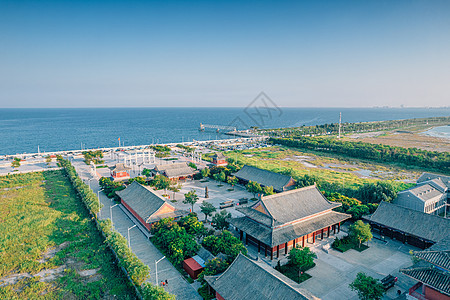 夏季美丽的天津滨海边图片