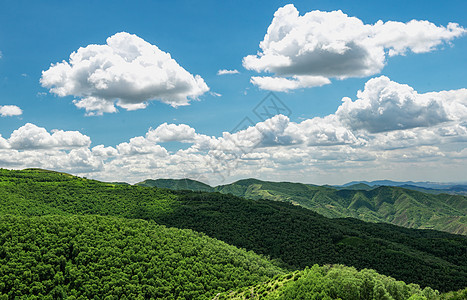 内蒙古大青山夏季景观图片