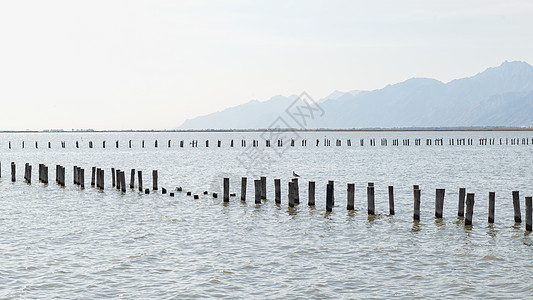 内蒙古黄河大峡谷夏季景观图片