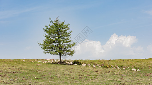 山西宁武芦芽山夏季风光图片