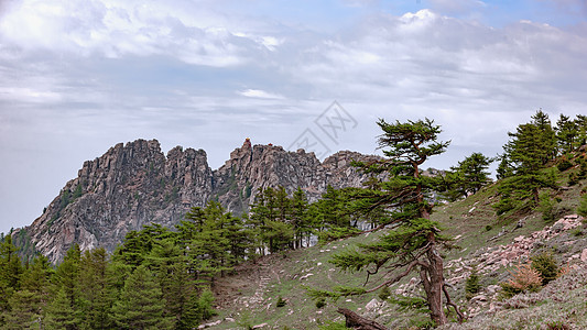 山西宁武芦芽山夏季风光图片