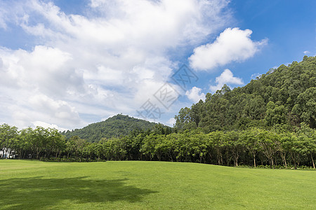 夏天蓝色绿化城市公园草地图片