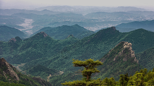 山西芦芽山夏季景观图片