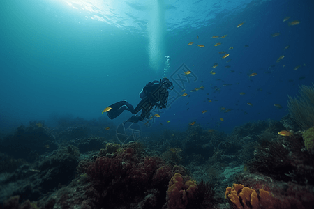潜水员探索海底图片