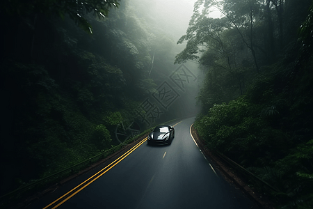 一辆豪华轿车在雨林中道路行驶图片