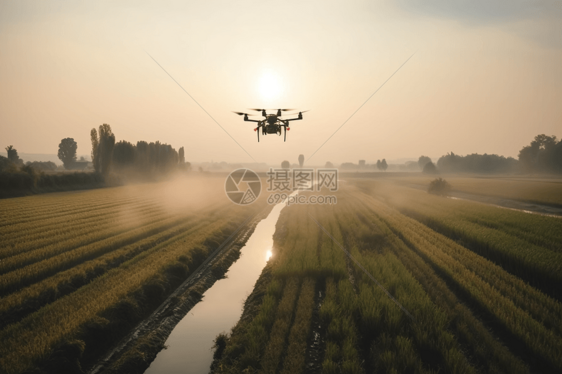 稻田上行驶的无人机图片
