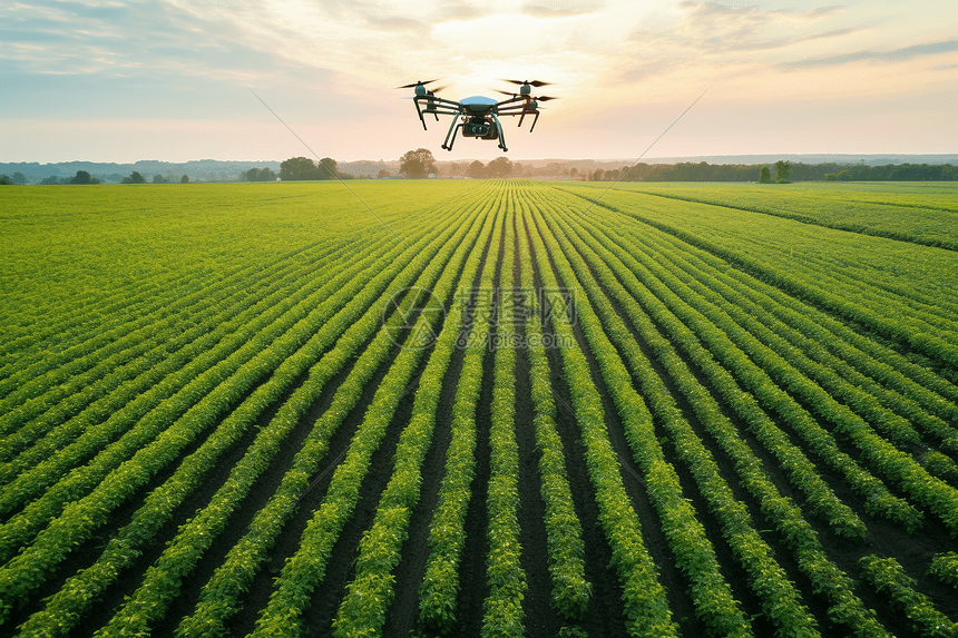 无人机检测农业生产图片