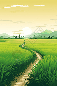 绿色稻田体验心灵的平静高清图片