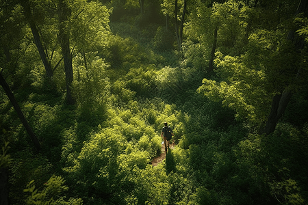 森林里的人图片