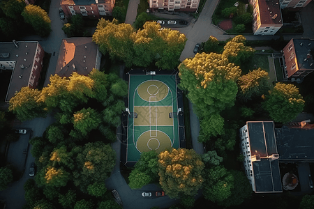 被大树围绕的篮球场图片