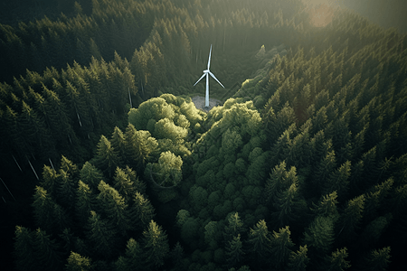 被茂密的森林包围的风力涡轮机图片