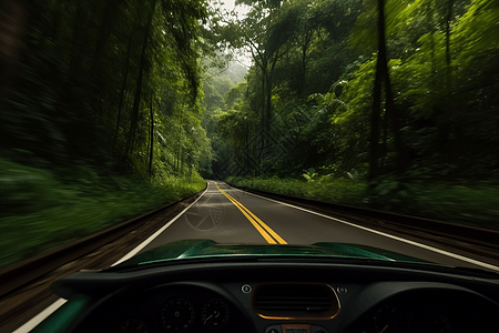 行驶在树林中的公路图片